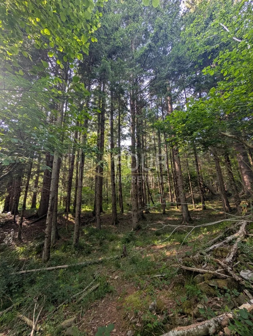Zemljište - Klana, 1908m2