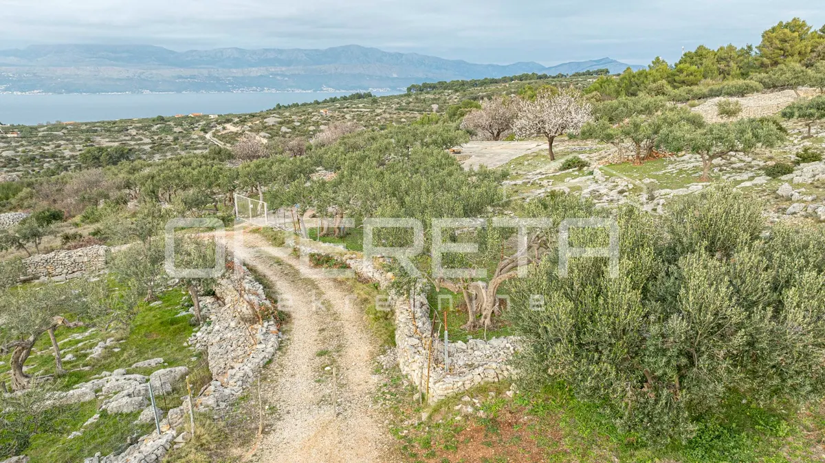 Zemljište - Supetar, Brač, Supetar, 14049m2