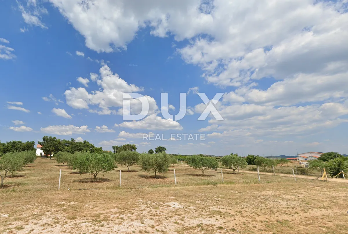 Zemljište - Sveti Filip I Jakov, 6000m2