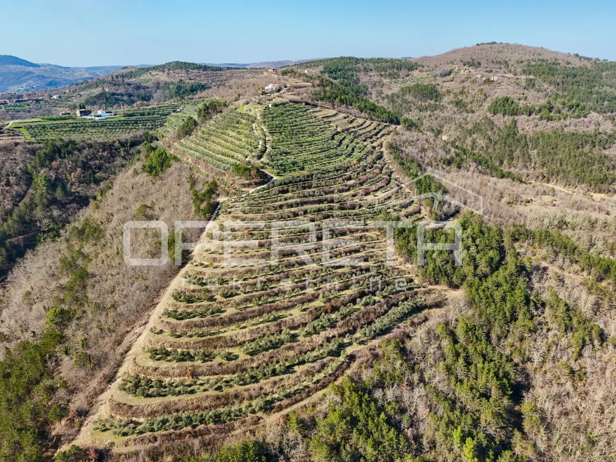 Zemljište - Motovun, Buzet, Buzet, 167813m2