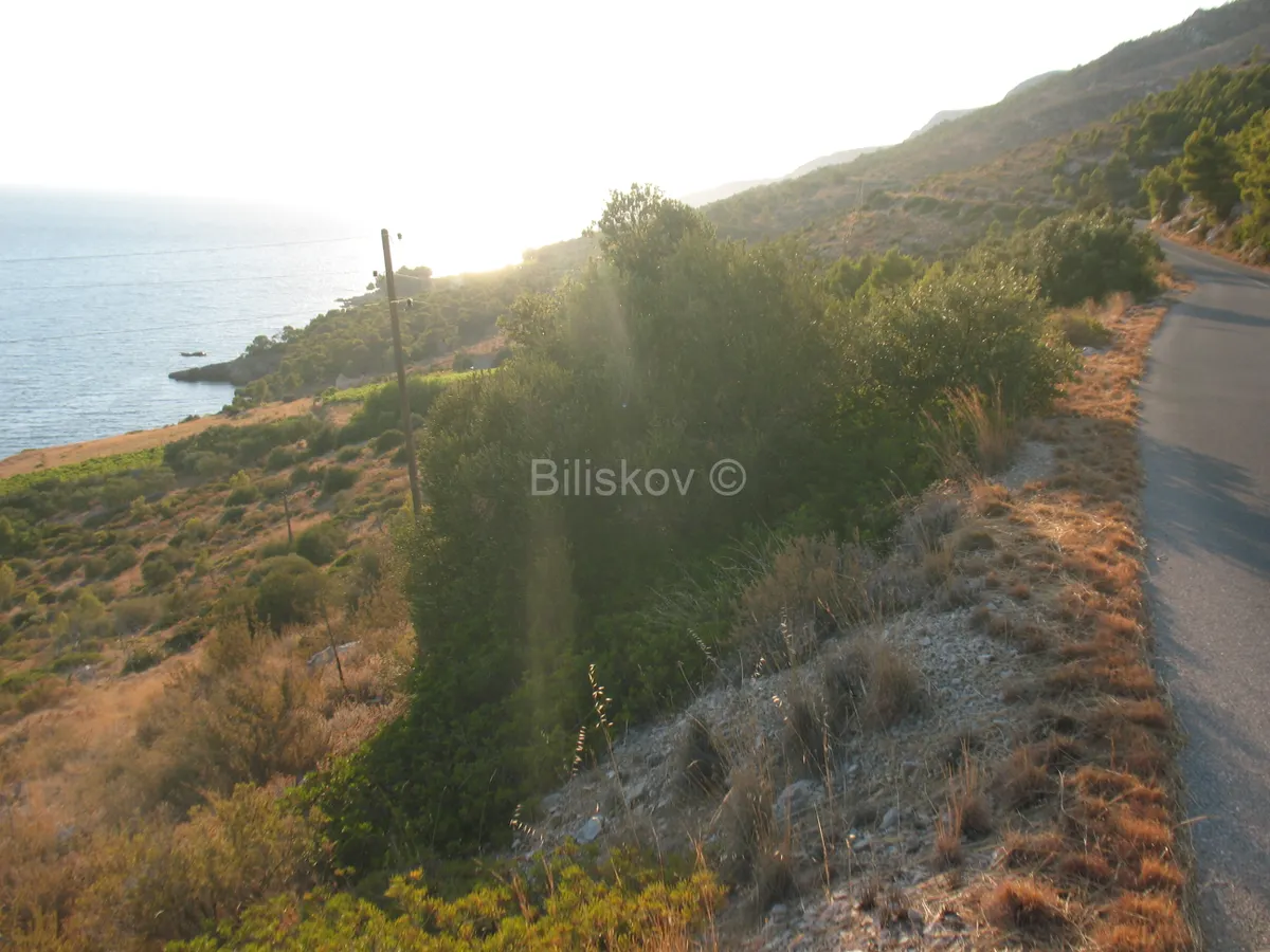 Land - Hvar, 17698m2