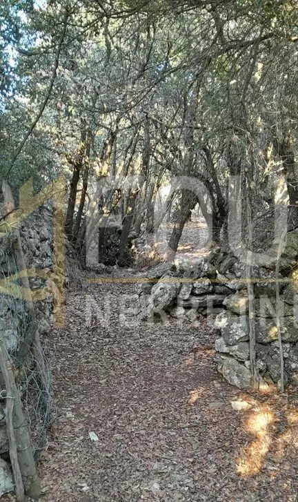Zemljište - Mali Lošinj, 18058m2