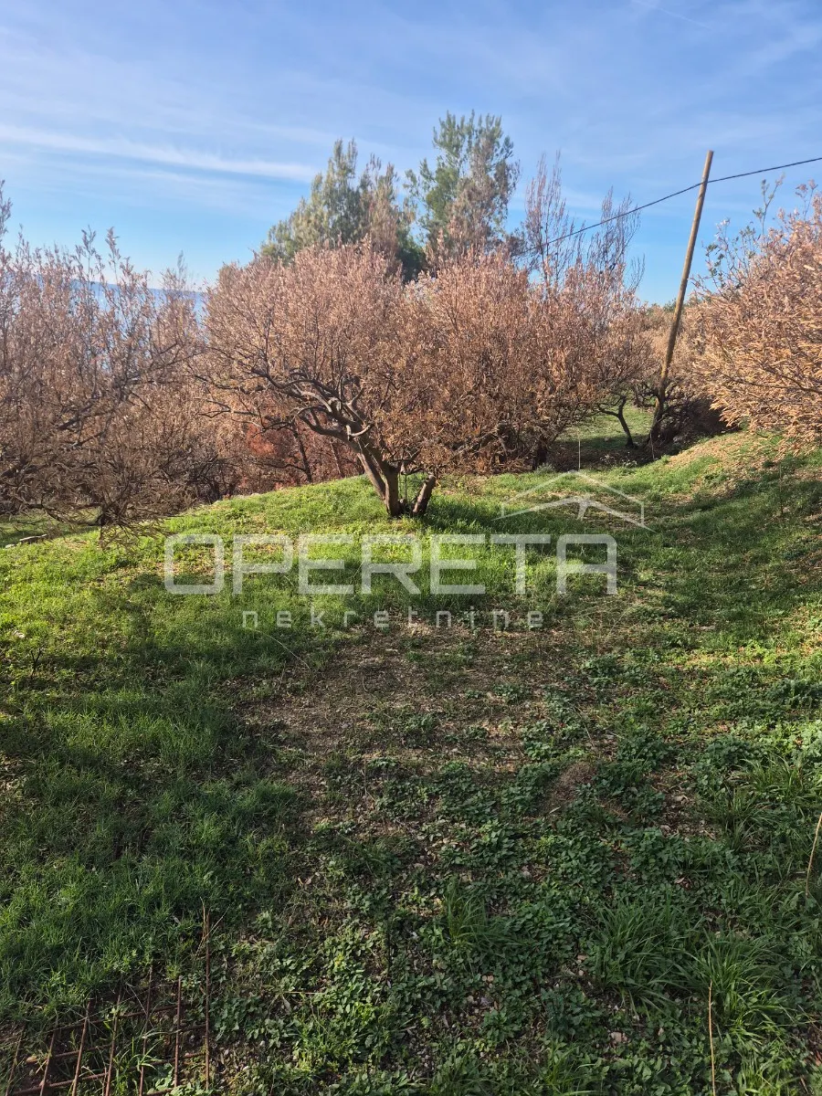 Land - Put svetog Roka, Jesenice, Jesenice, 676m2