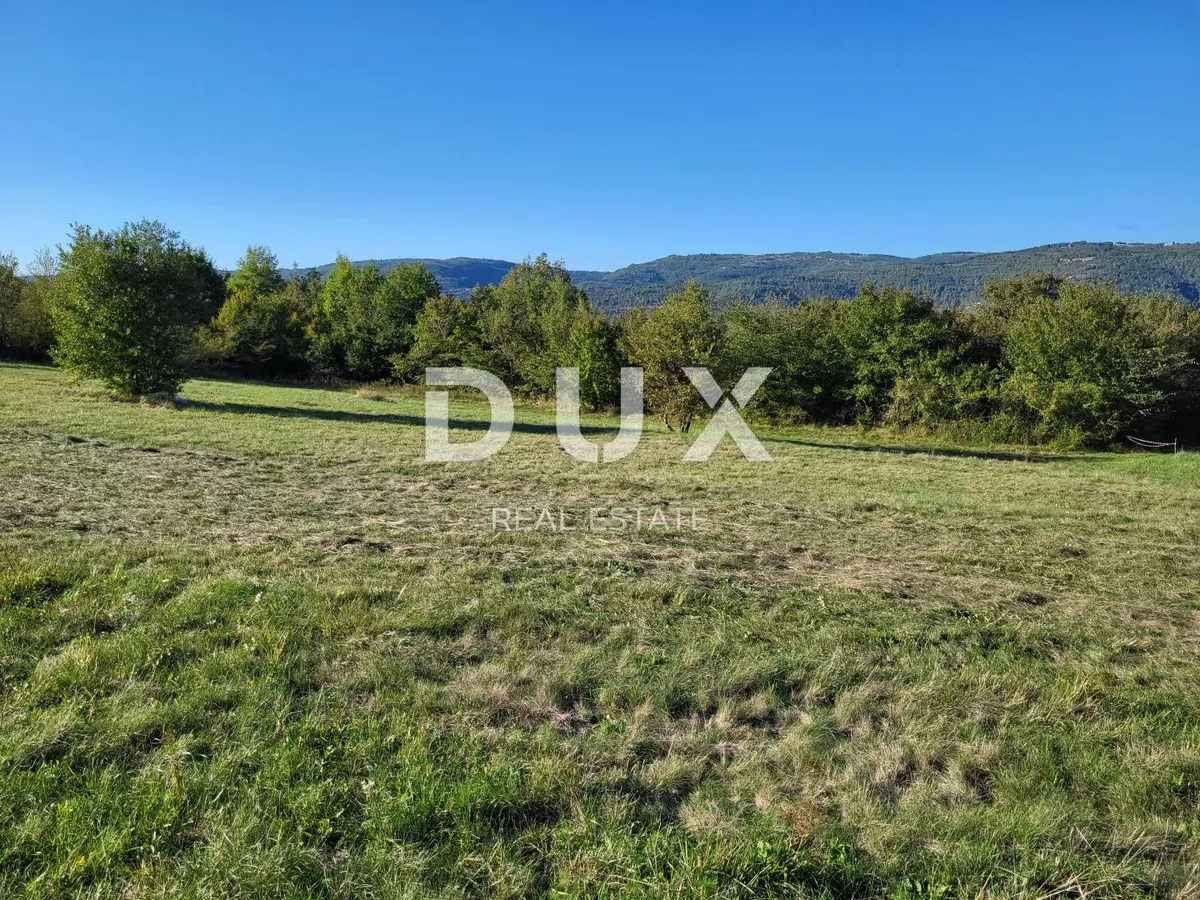 Zemljište - Motovun, 9212m2