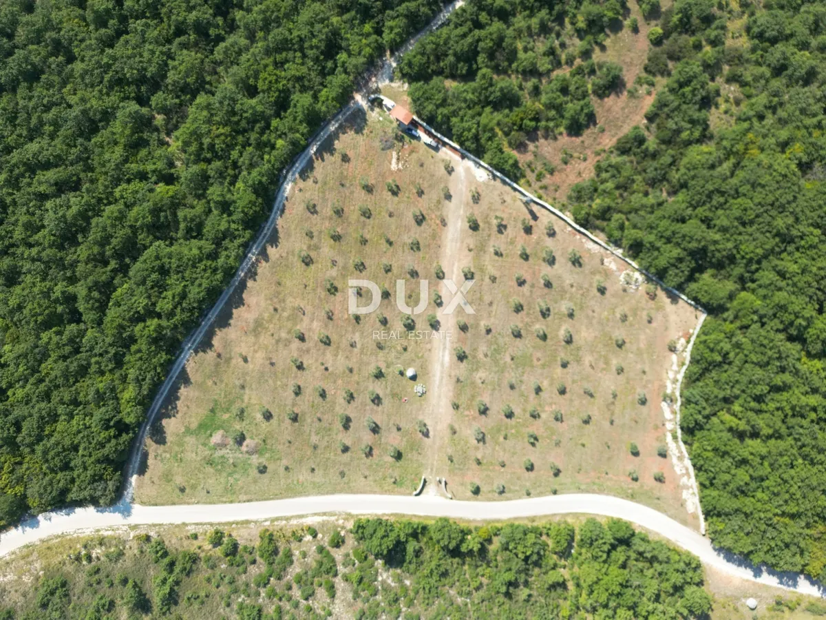 Zemljište - Vodnjan, 13979m2