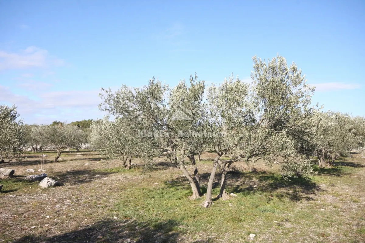 Zemljište - Vodice, 3574m2