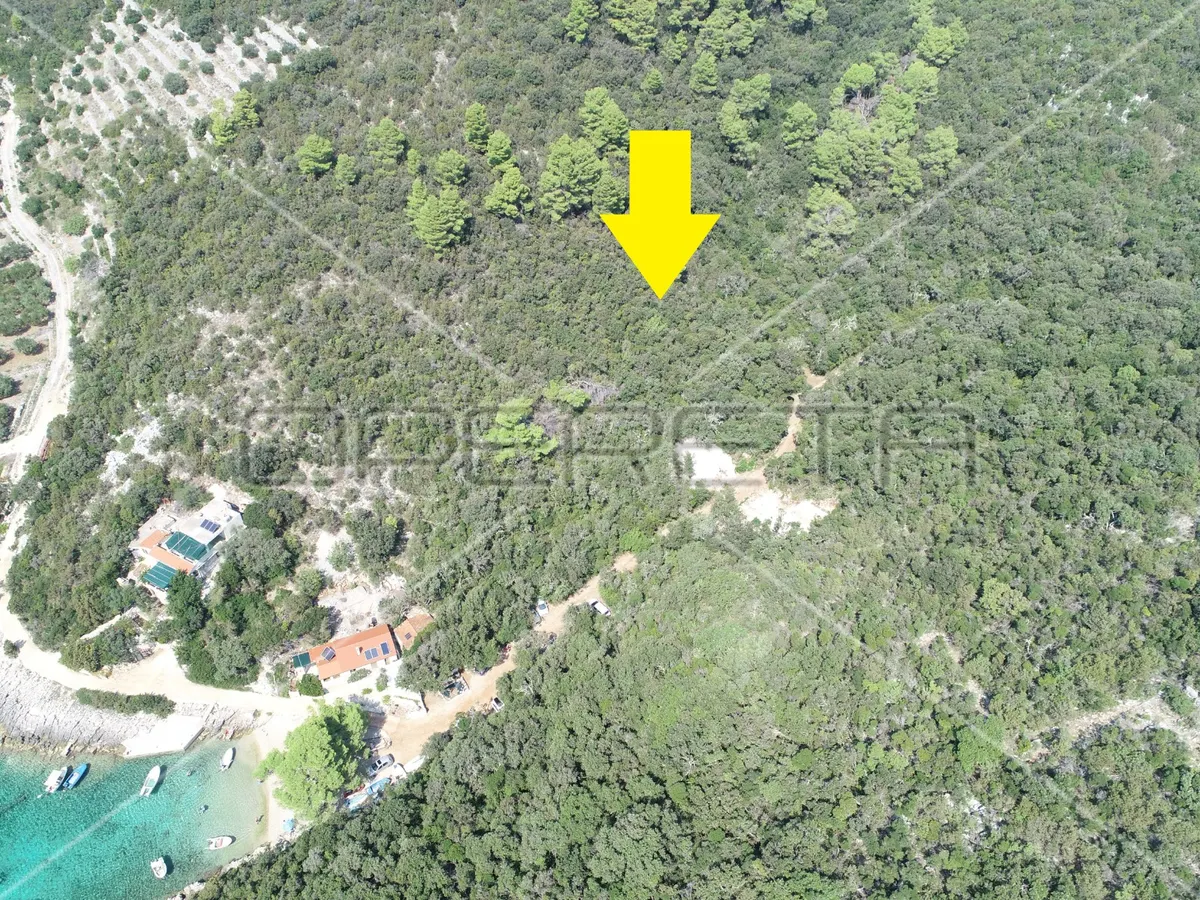 Zemljište - Rasohatica, Korčula, Korčula, 7954m2
