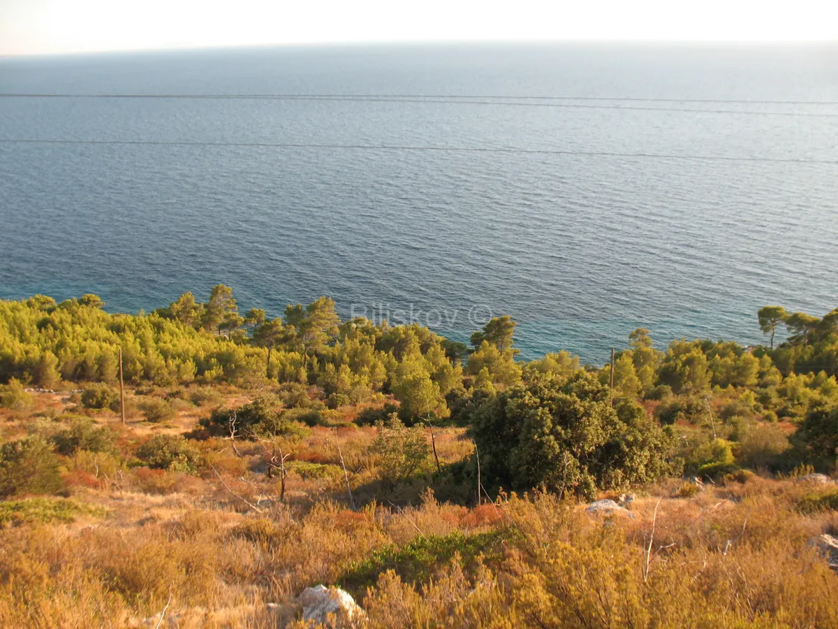 Land - Hvar, 17698m2