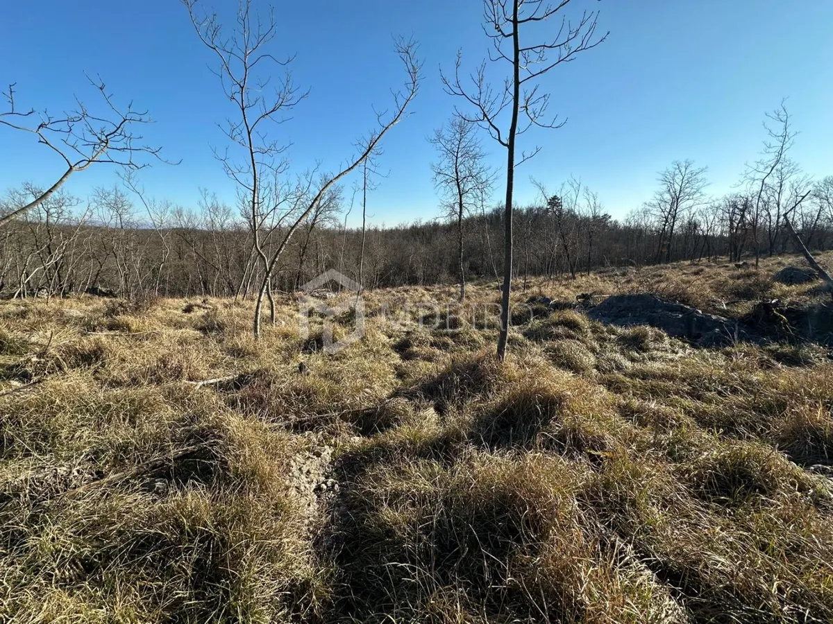 Zemljište - Klana, 2500m2