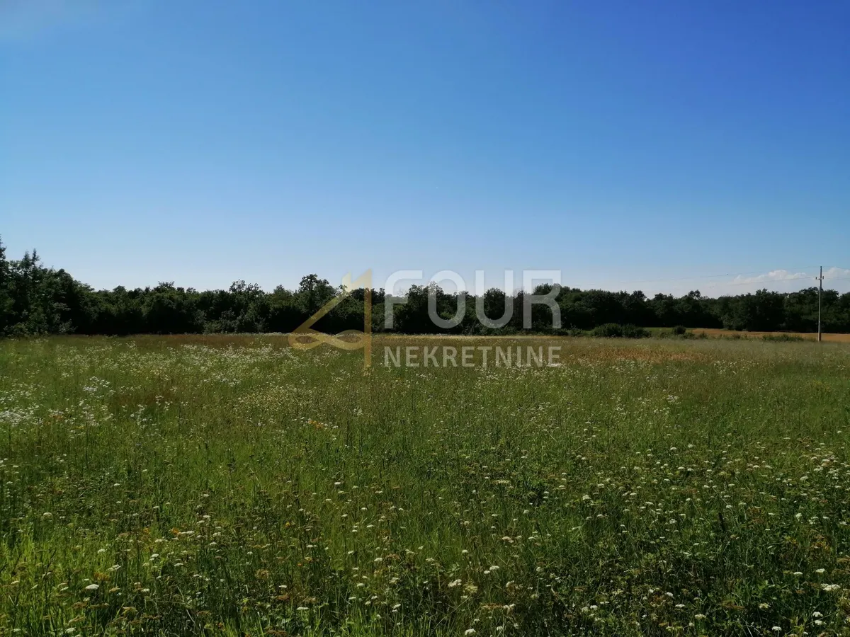 Zemljište - Sveti Lovreč, 2000m2
