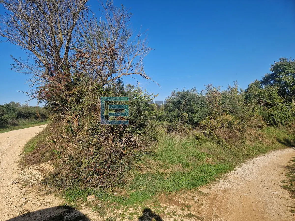 Zemljište - Sveti Filip i Jakov, 2935m2