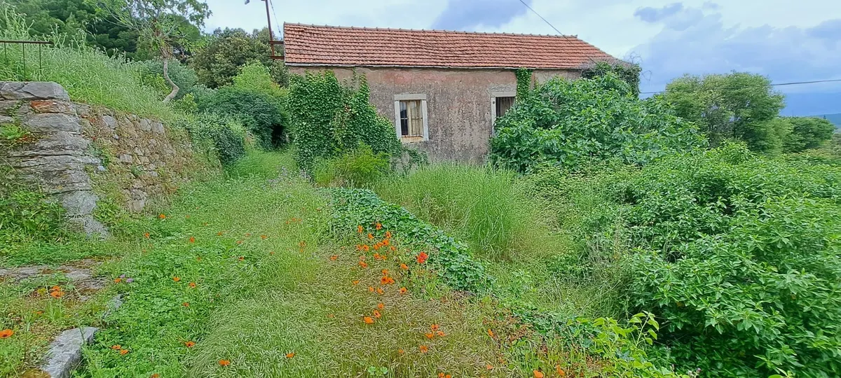 Kuća - Gojava, Stari Grad, Stari Grad, 200m2