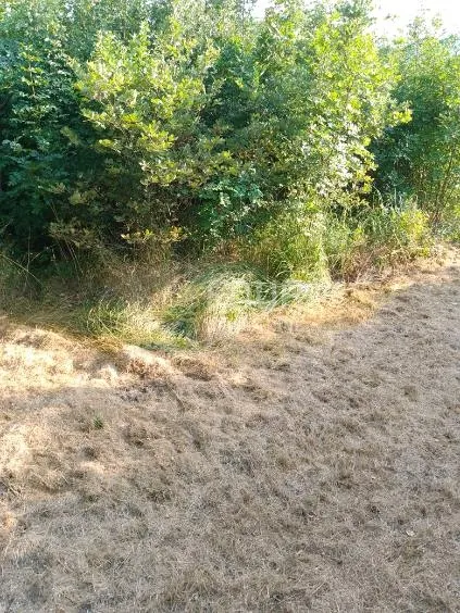 Zemljište - Buzet, 1441m2