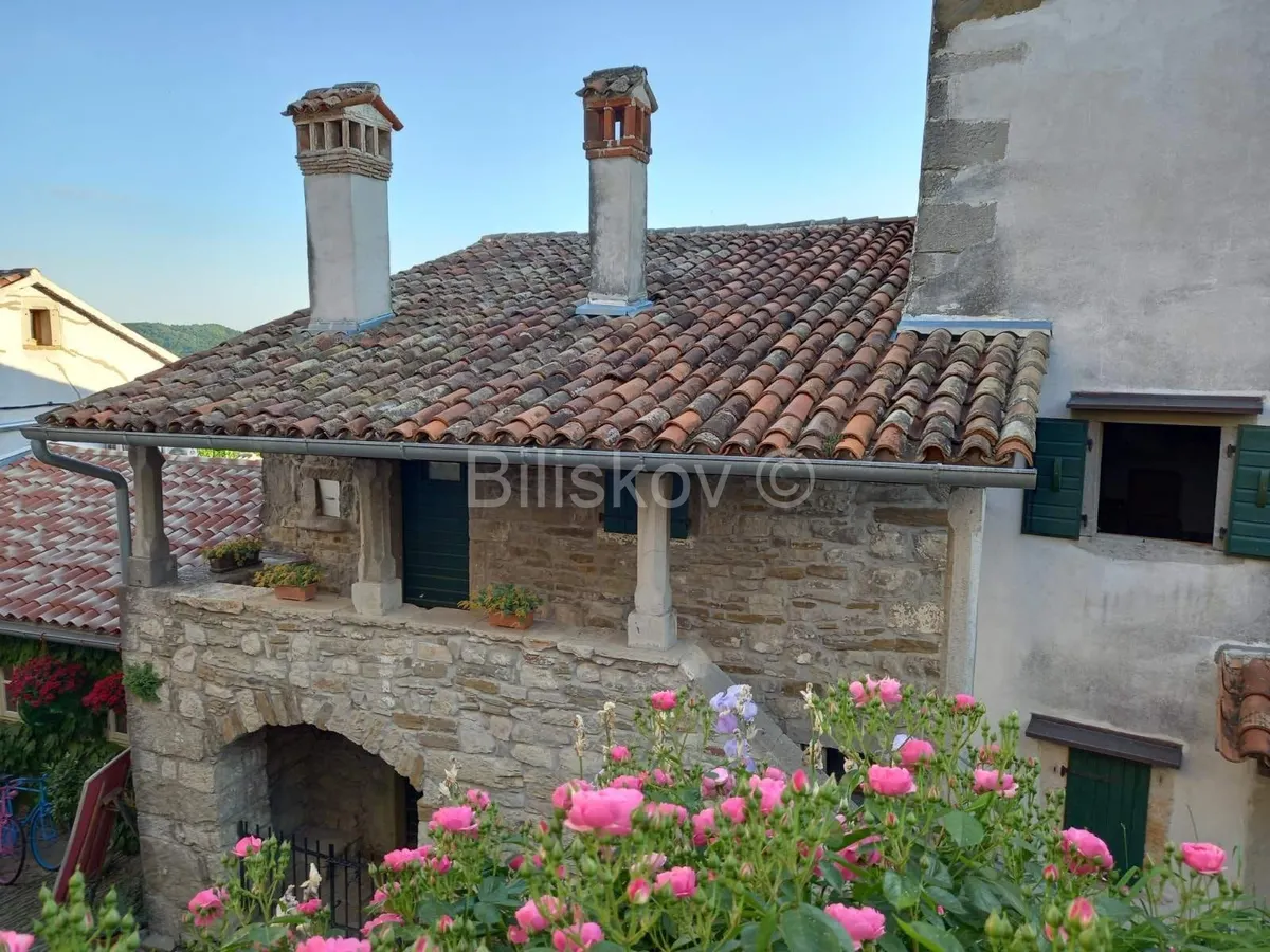 House - Buzet, 294m2
