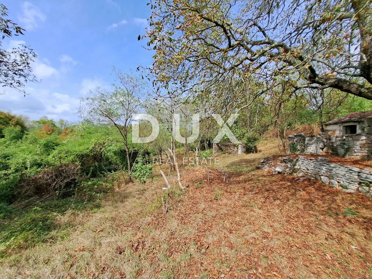 Kuća - Oprtalj, 460m2