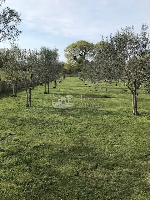 Kuća - Malinska-Dubašnica, 70m2