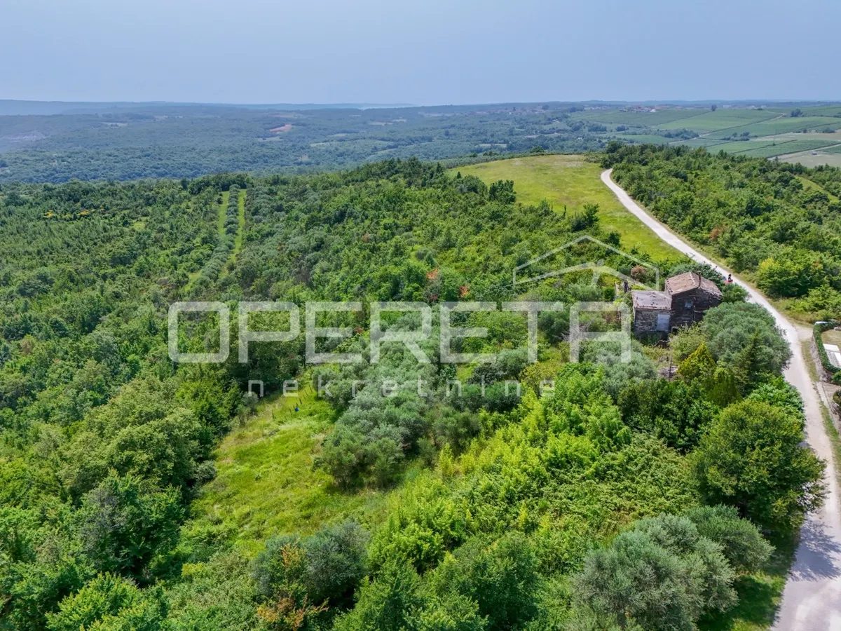 Land - Buje, Buje, Buje, 1999m2