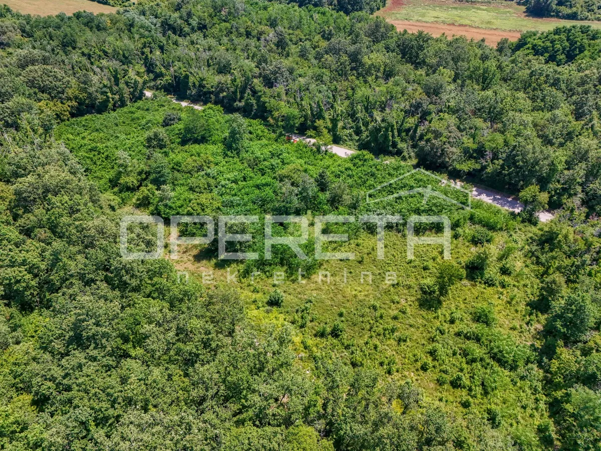 Zemljište - Fuškulin, Poreč, Poreč, 9317m2