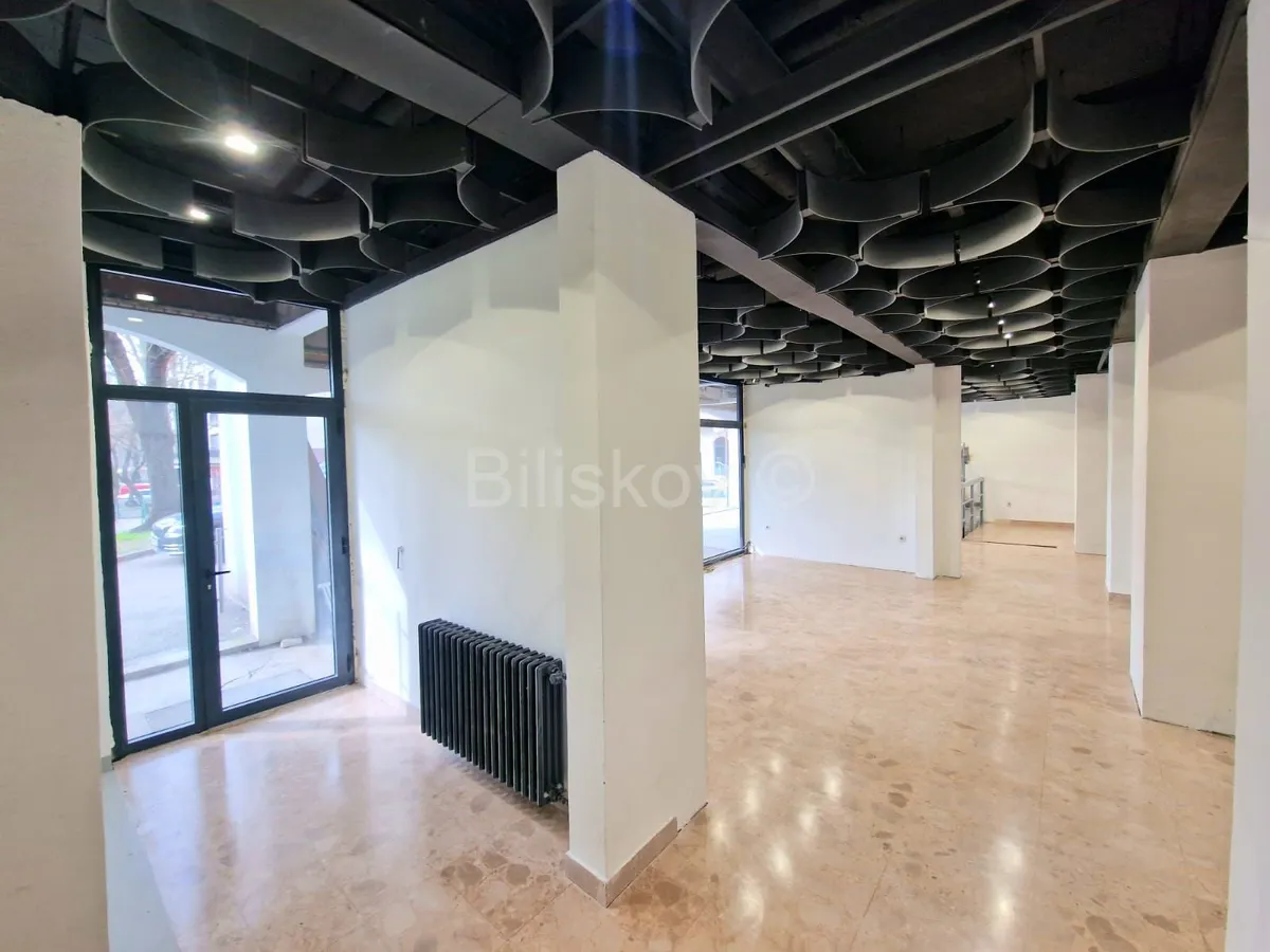 Commercial Space - Voltino, Zagreb, 555m2