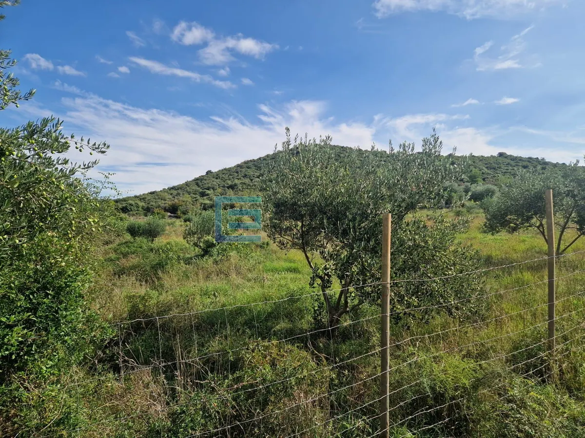 Zemljište - Polača, 977m2