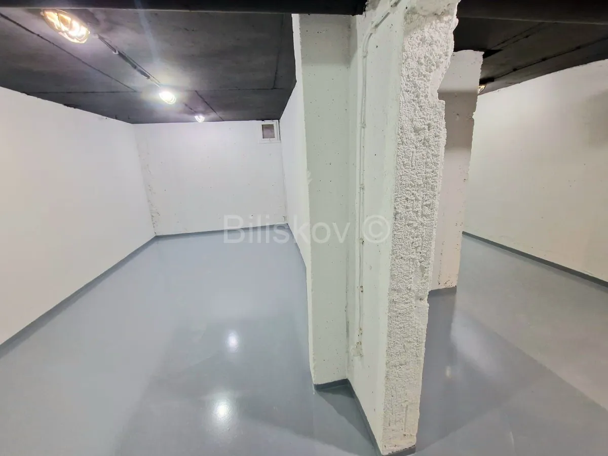 Commercial Space - Voltino, Zagreb, 555m2