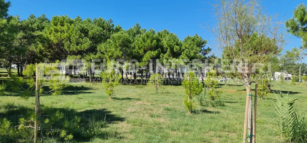 Zemljište - Privlaka, 1091m2