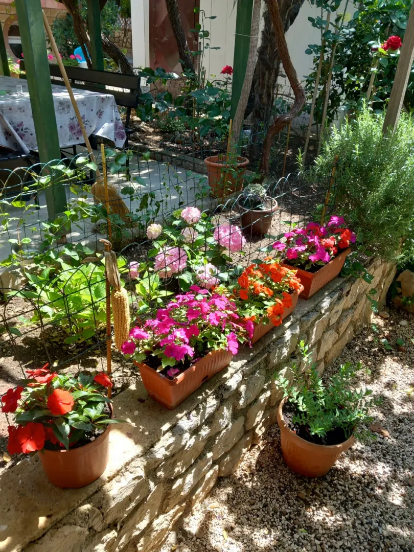 House - Pag, 482m2
