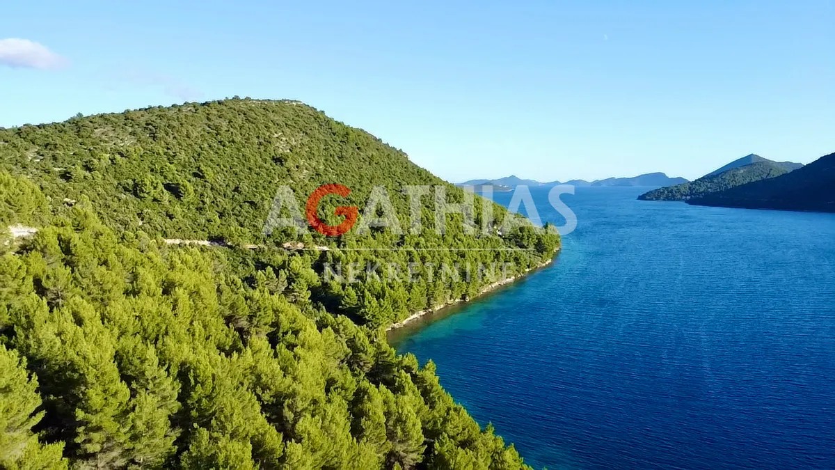 Land - Ston, 216904m2