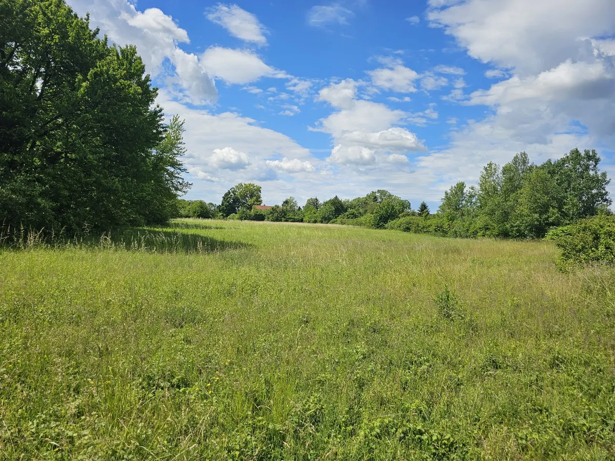 Zemljište - Kozari bb, Istok, Zagreb, 8308m2