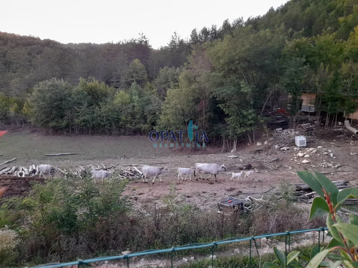 Kuća - Pazin - Okolica, 180m2