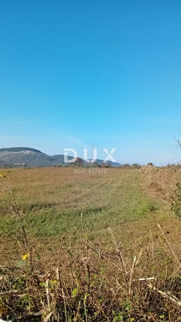 Zemljište - Sveti Filip I Jakov, 5062m2