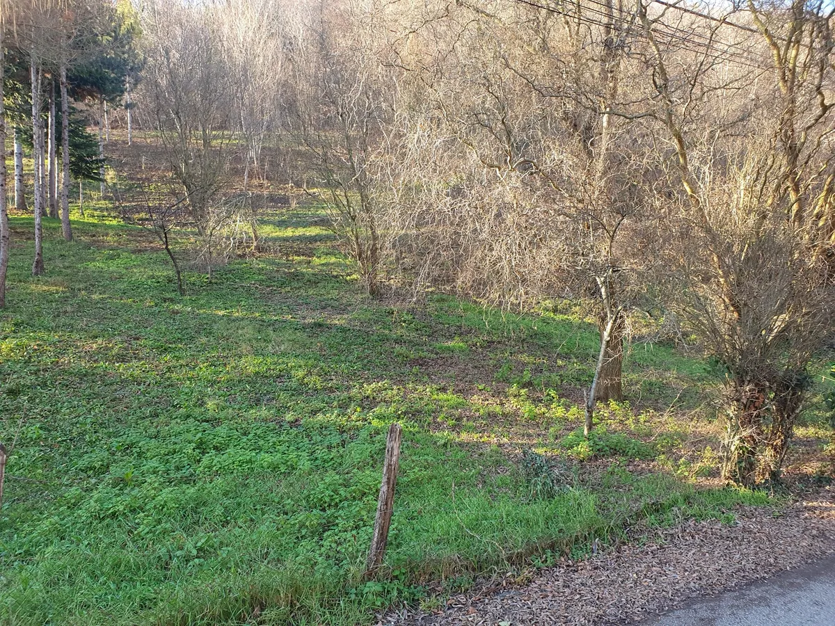 Zemljište - Ulica Dubravica, Stenjevec, Zagreb, 2549m2