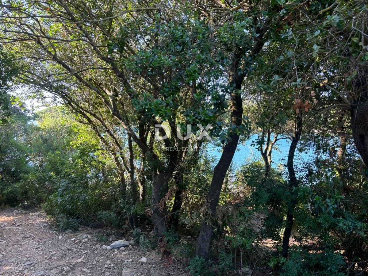 House - Pula, 1745m2