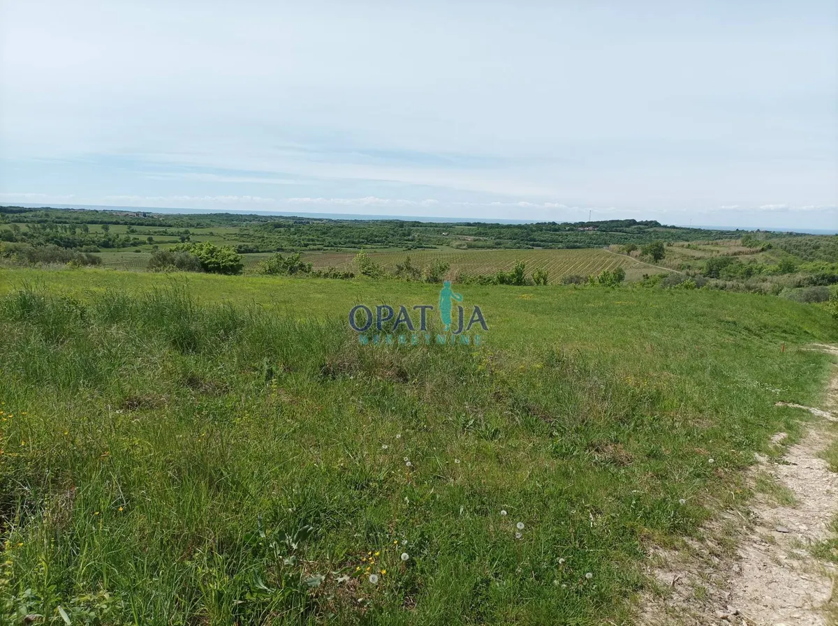 Zemljište - Buje, 551m2