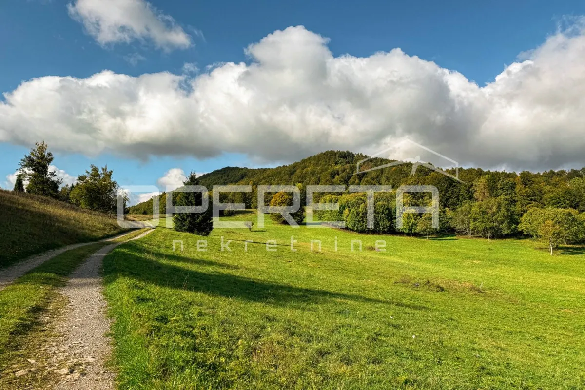 Zemljište - Lučice, Delnice, Delnice, 2236m2