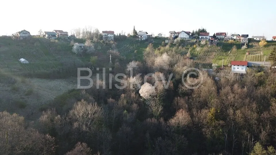 Land - Samobor, 33704m2