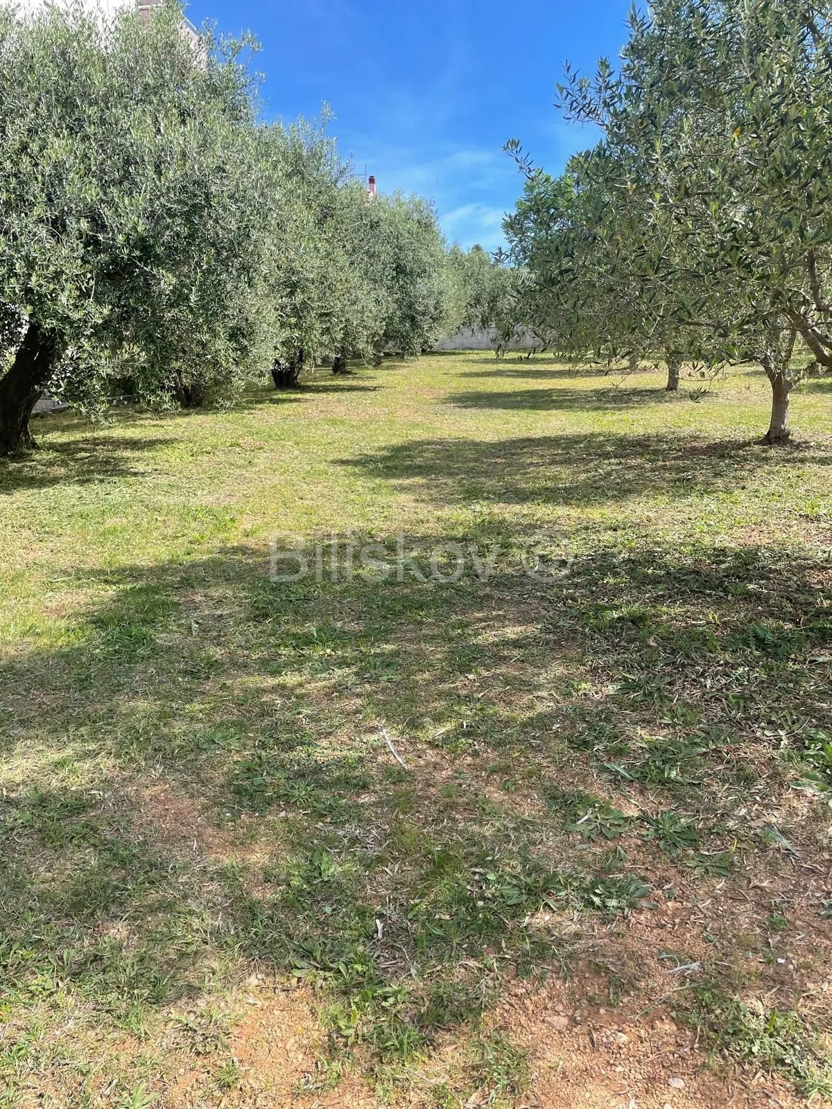Zemljište - Biograd na Moru, 600m2