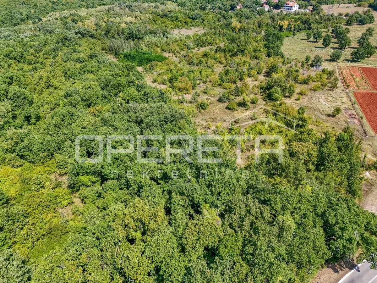 Zemljište - Poreč, Poreč, Poreč, 36918m2