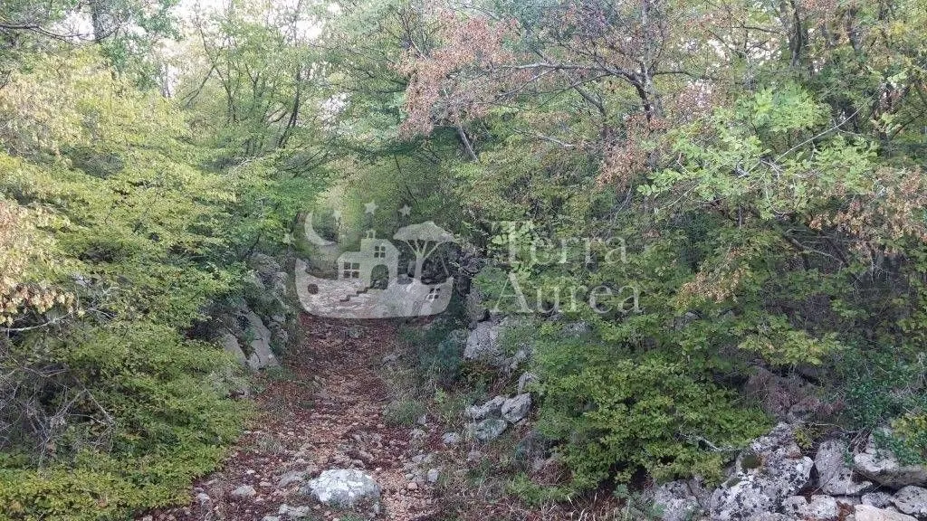 Zemljište - Krk, 2374m2