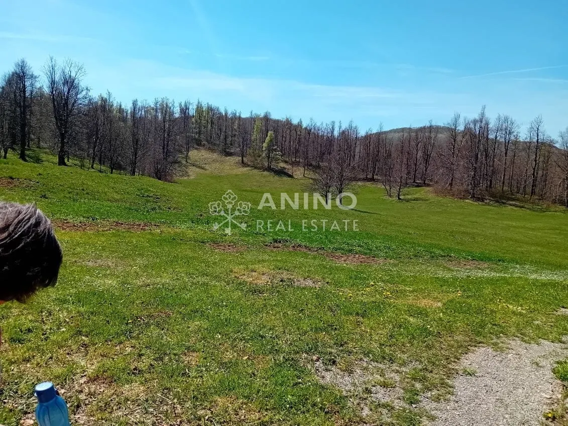 Zemljište - Jelenje, 11570m2