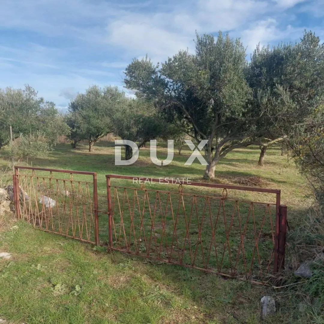 Zemljište - Privlaka, 2003m2