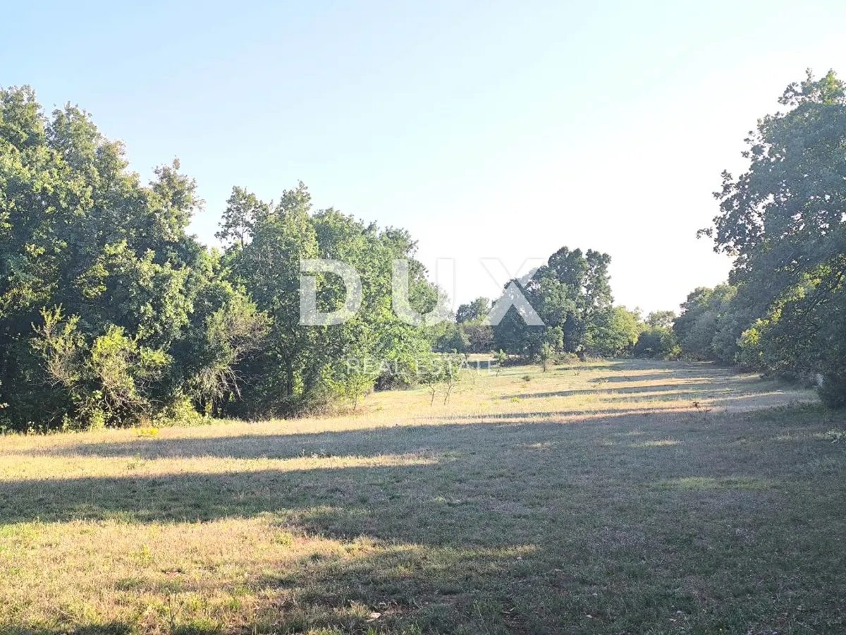Zemljište - Svetvinčenat, 8000m2