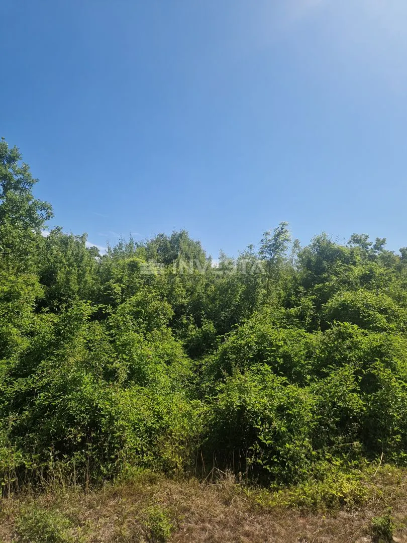 Zemljište - Vodnjan, 8222m2
