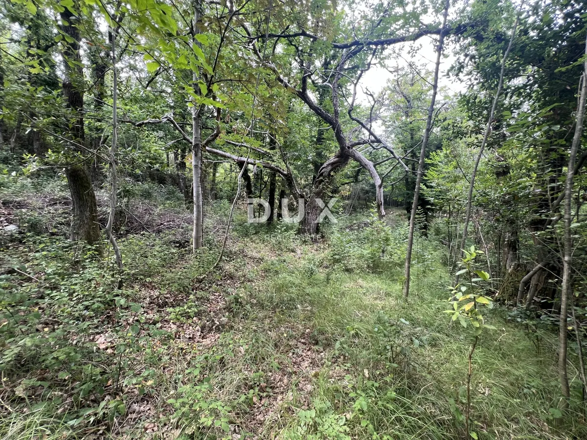 Zemljište - Mošćenička Draga, 1650m2