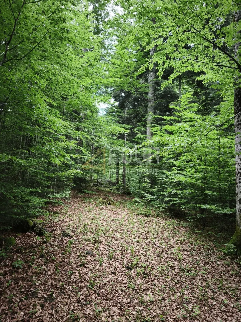 Zemljište - Vrbovsko, 13488m2