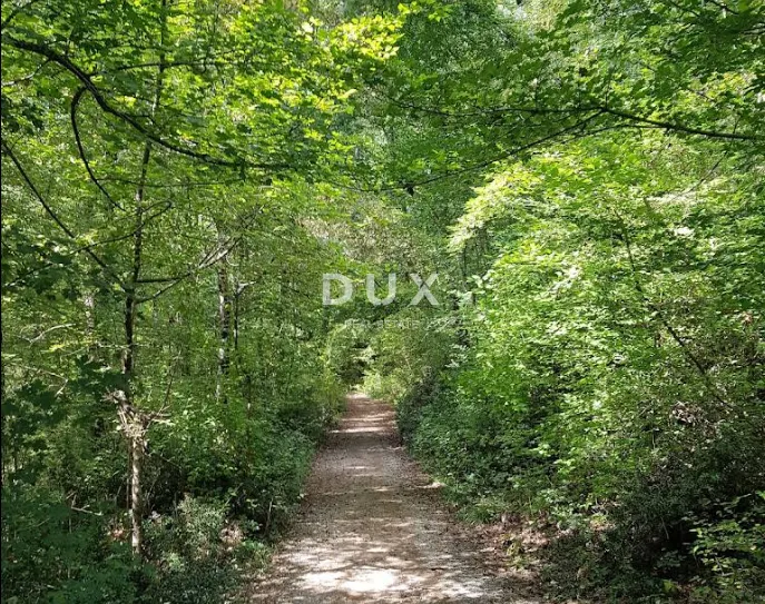 Zemljište - Kastav, 11187m2