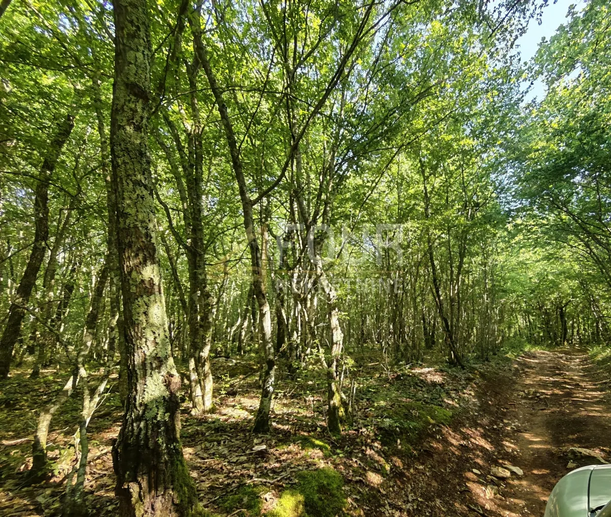 Zemljište - Svetvinčenat, 6122m2