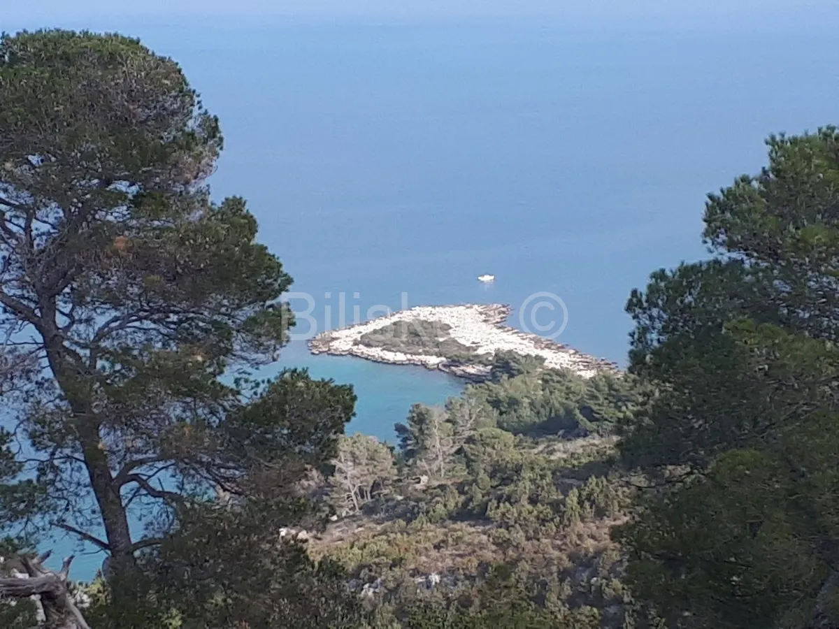 Land - Jelsa, 11748m2
