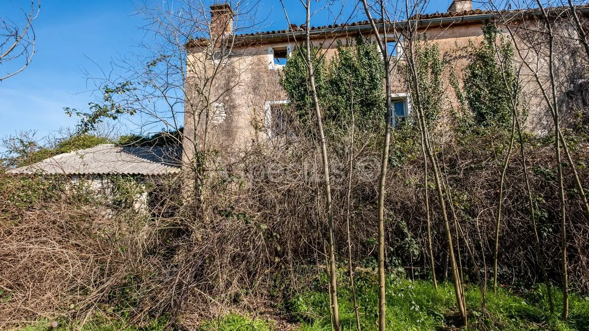 Land - Bale, 7801m2