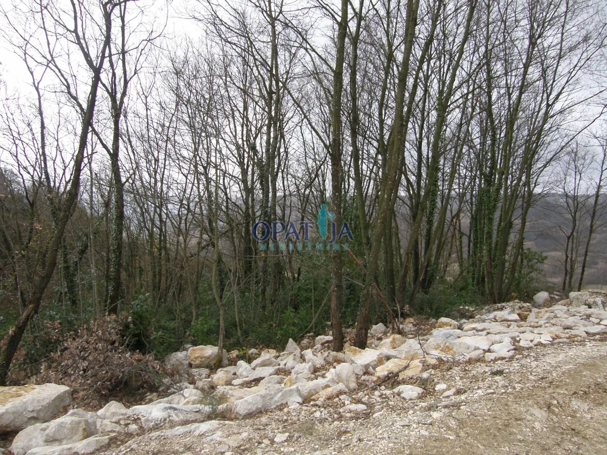 Zemljište - Pićan, 1100m2